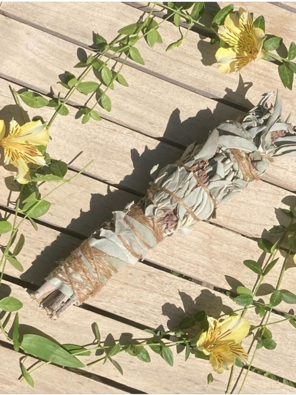 White Sage 1 Stick 8” Hand Crafted Organic Sachet Fully Dried New